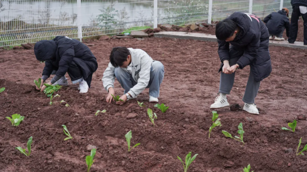 劳动铸魂！在泥土中生长的青春必修课