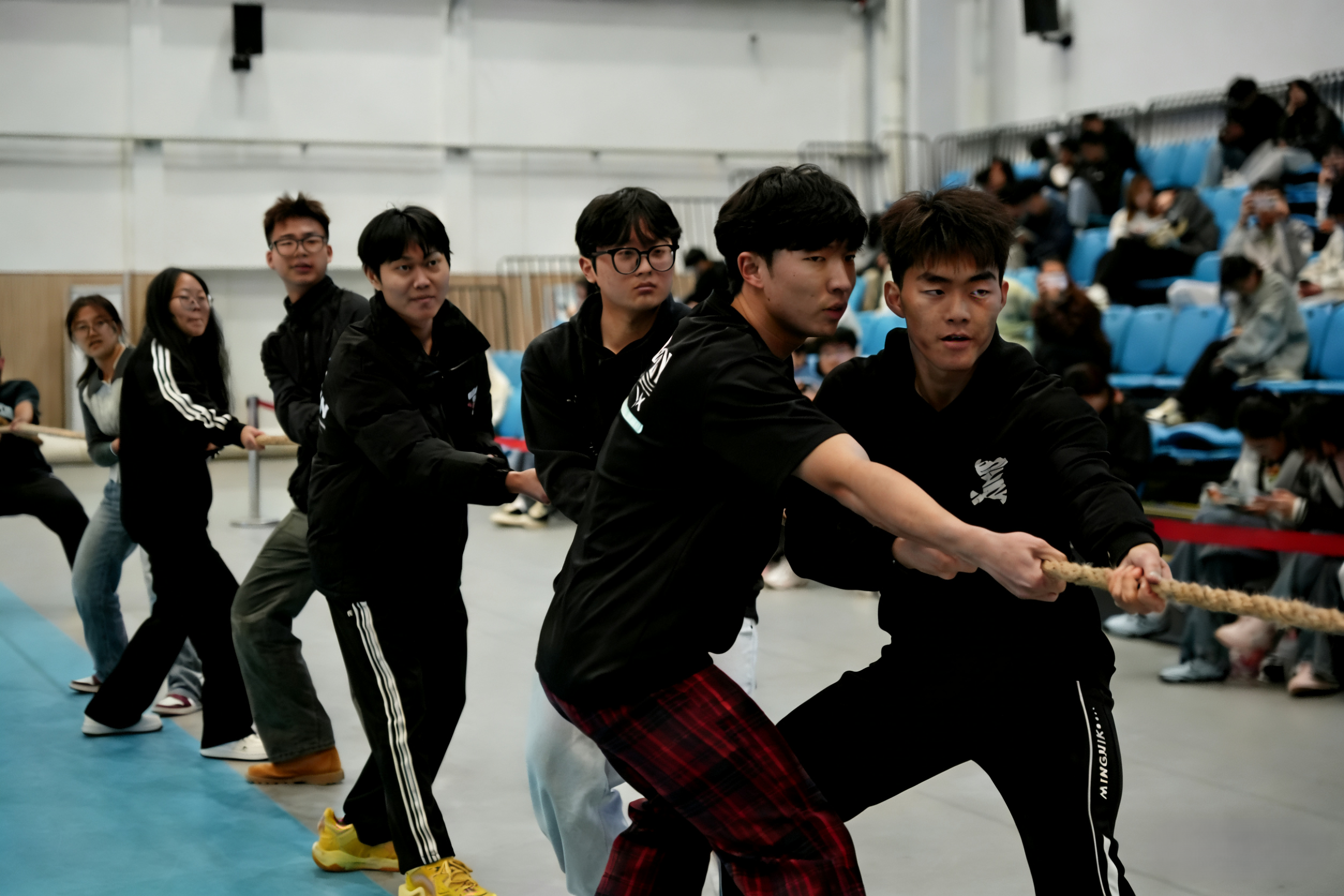 微信图片_20260320102748_459_8(1)